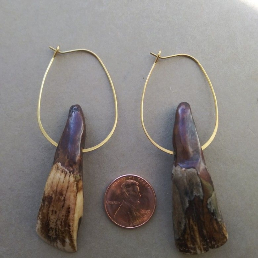 Authentic American Buffalo Teeth on Brass Hoops - Picture 6 of 7